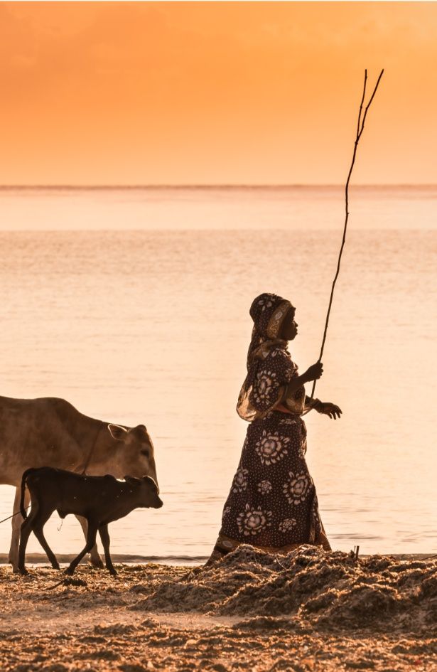 Journal Insider: Zanzibar je blago koje čuva Tanzanija