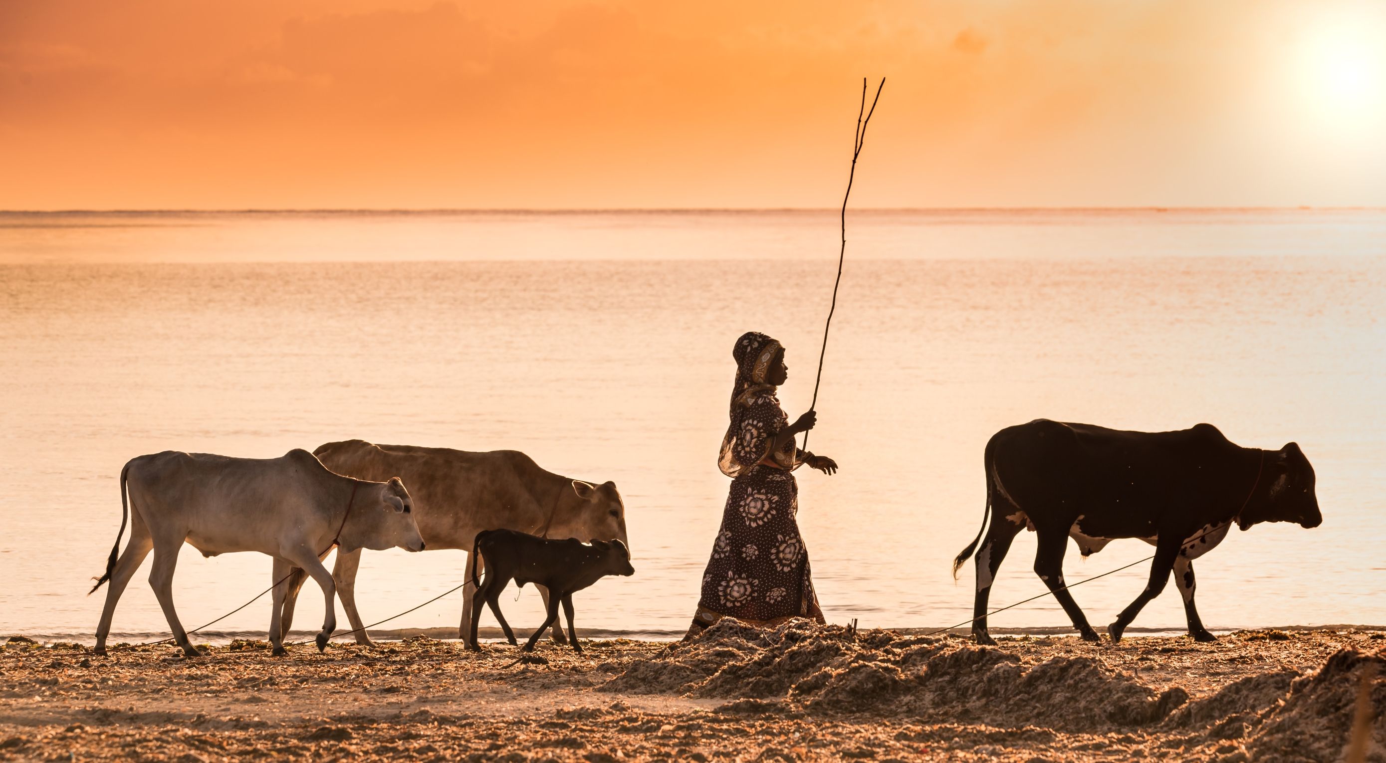 Journal Insider: Zanzibar je blago koje čuva Tanzanija