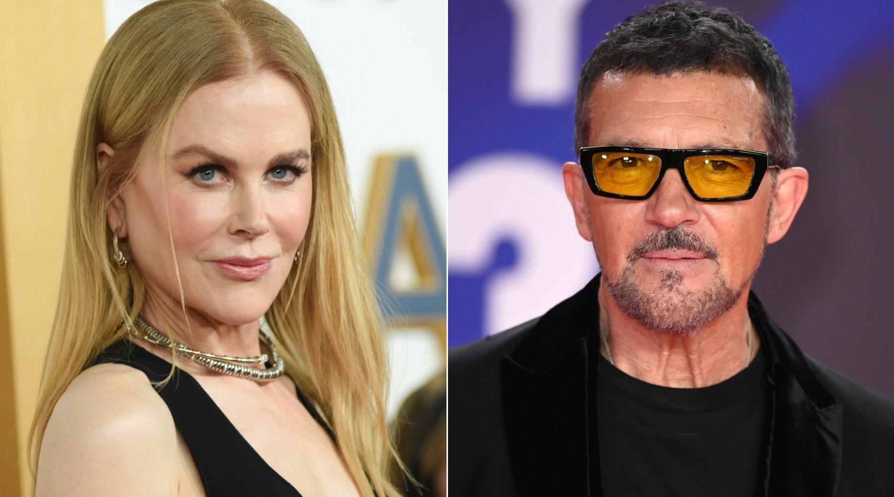 Nicole Kidman i Antonio Banderas zajedno u novom filmu: Evo šta znamo