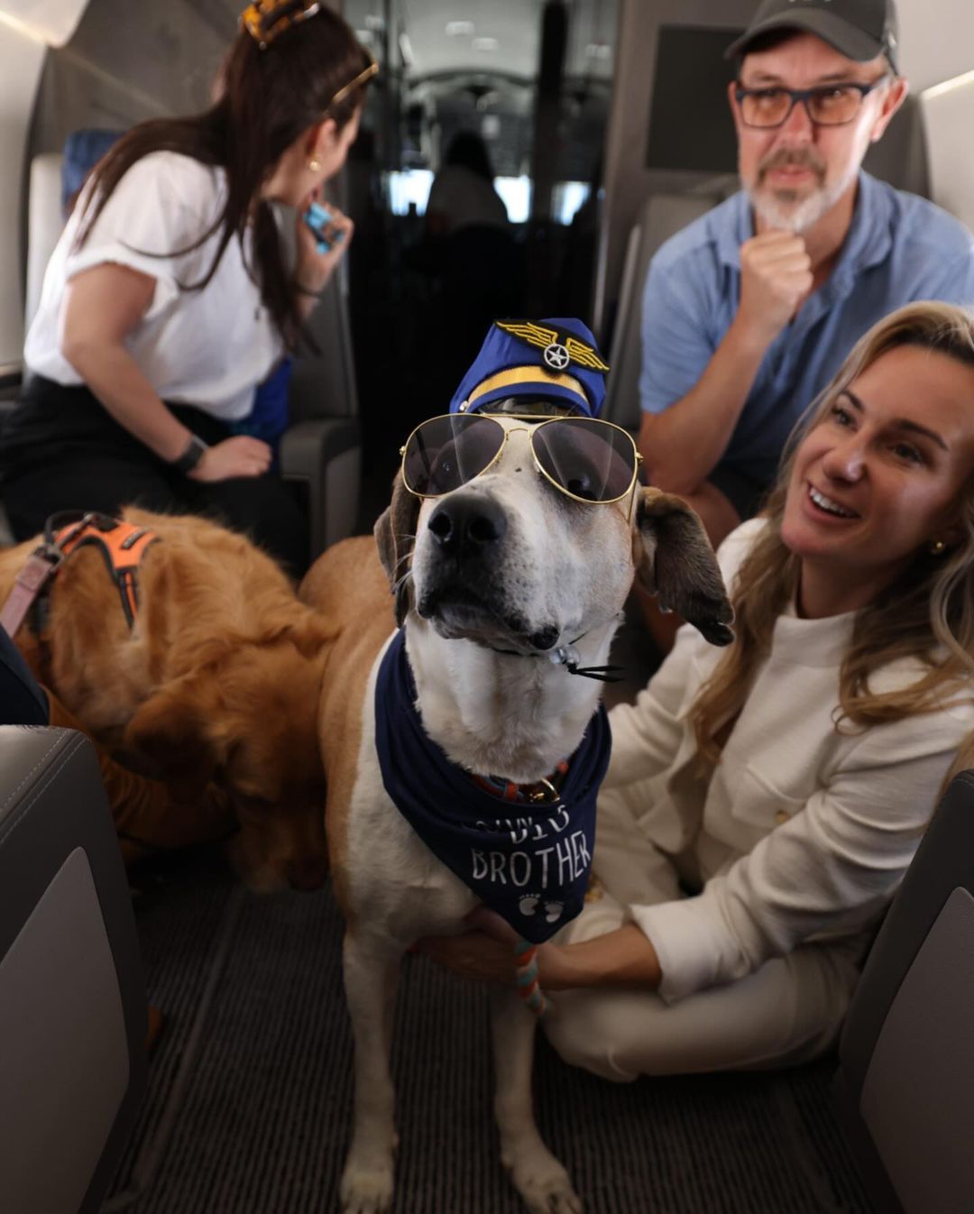 BARK Air je prva aviokompanija za pse koji na ovaj način lete – prvom klasom