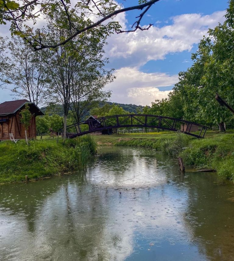 alpaka ranč srbija poni ranc (5)