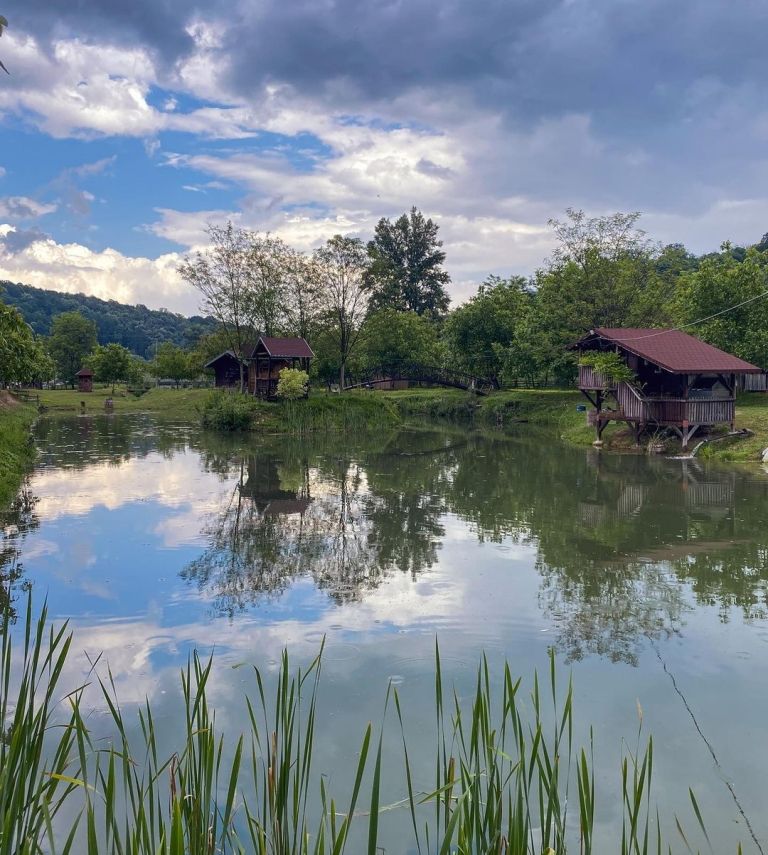 alpaka ranč srbija poni ranc (5)