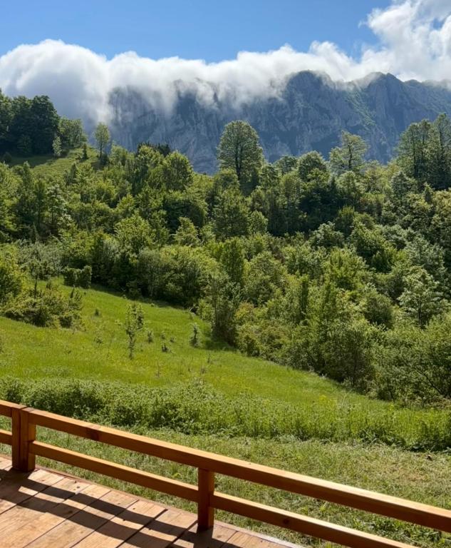 Glamping u Srbiji rosehip camp kampovanje luksuzno (5)