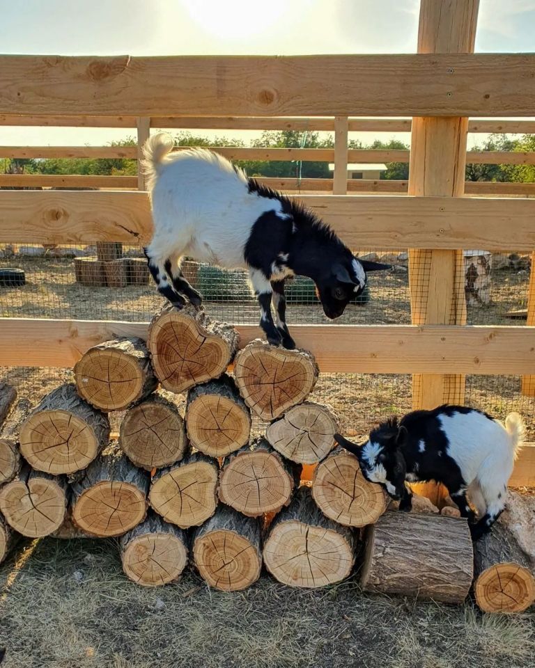 Mesta za glamping u Srbiji koja morate posetiti