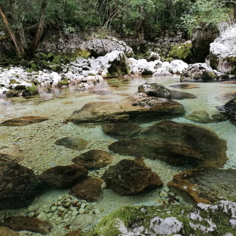 bohinjsko jezero bohinj slovenija putovanje